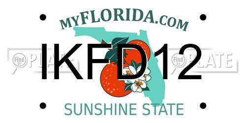 IKFD12 Florida License Plate