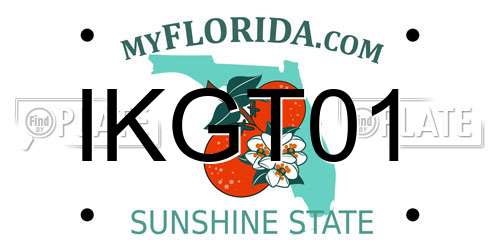 IKGT01 Florida License Plate