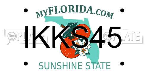 IKKS45 Florida License Plate