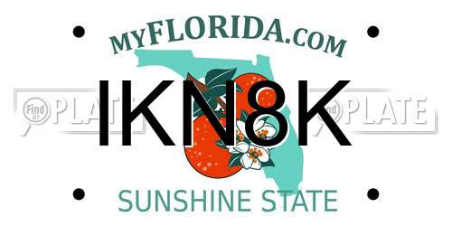 IKN8K Florida License Plate