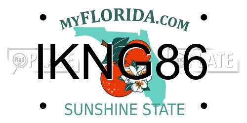 IKNG86 Florida License Plate