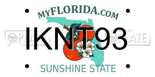 IKNT93 Florida License Plate