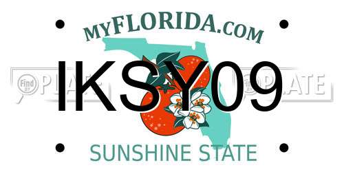 IKSY09 Florida License Plate