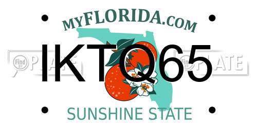 IKTQ65 Florida License Plate