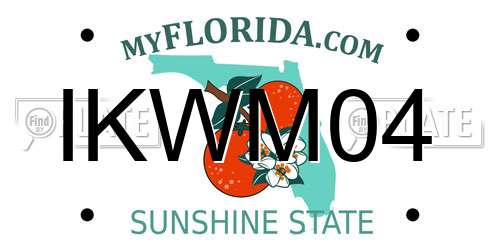 IKWM04 Florida License Plate