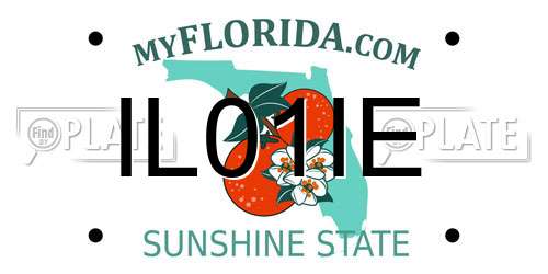 IL01IE Florida License Plate