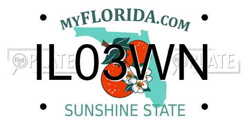 IL03WN Florida License Plate