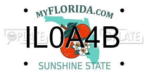 IL0A4B Florida License Plate