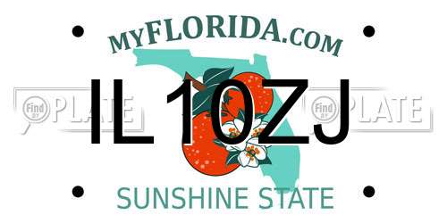 IL10ZJ Florida License Plate