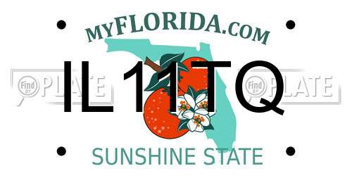 IL11TQ Florida License Plate