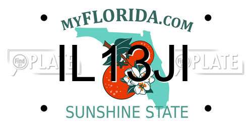 IL13JI Florida License Plate