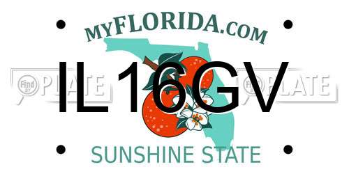 IL16GV Florida License Plate