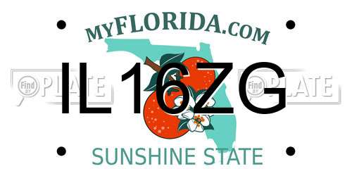 IL16ZG Florida License Plate