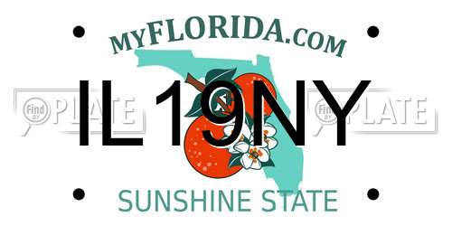 IL19NY Florida License Plate