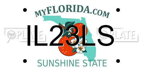 IL23LS Florida License Plate