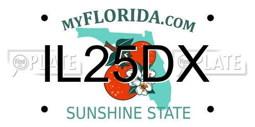 IL25DX Florida License Plate