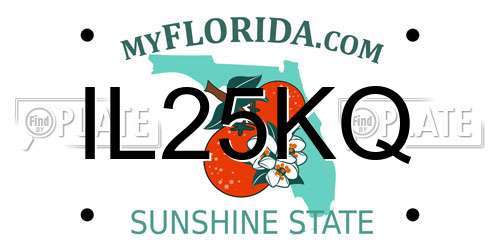 IL25KQ Florida License Plate