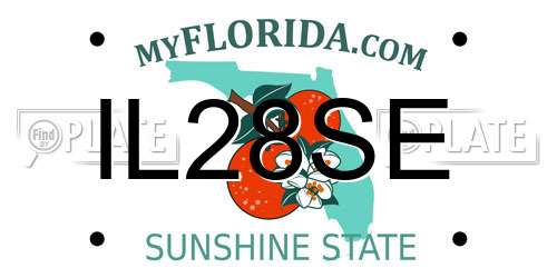 IL28SE Florida License Plate