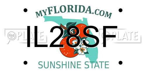 IL28SF Florida License Plate