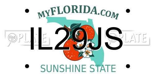 IL29JS Florida License Plate