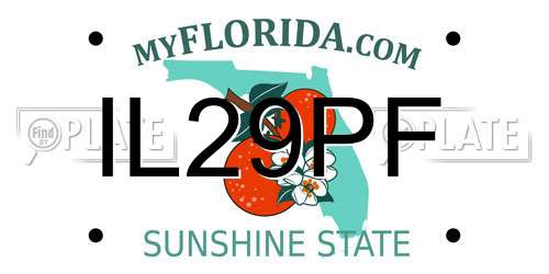 IL29PF Florida License Plate