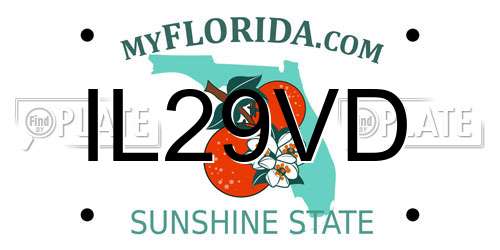 IL29VD Florida License Plate