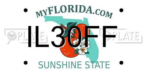 IL30FF Florida License Plate