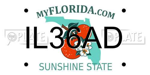 IL36AD Florida License Plate