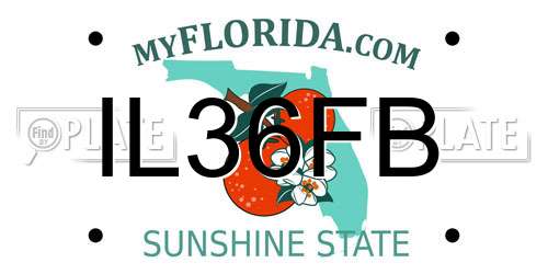 IL36FB Florida License Plate