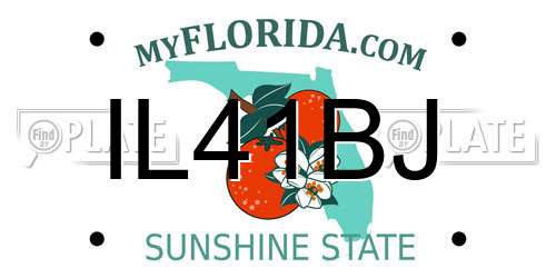IL41BJ Florida License Plate