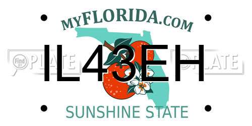 IL43EH Florida License Plate