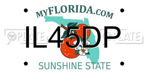 IL45DP Florida License Plate