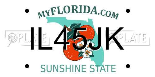 IL45JK Florida License Plate