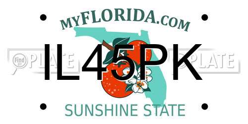 IL45PK Florida License Plate