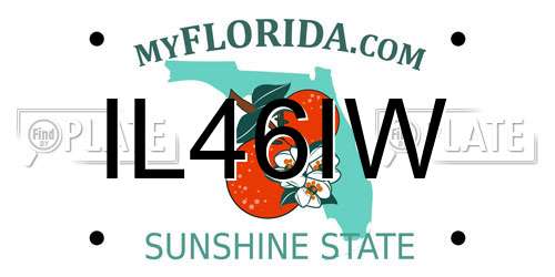 IL46IW Florida License Plate