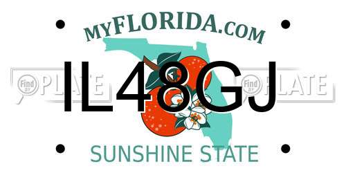 IL48GJ Florida License Plate