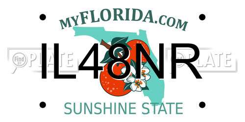 IL48NR Florida License Plate