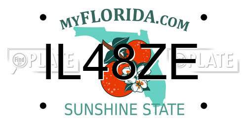 IL48ZE Florida License Plate