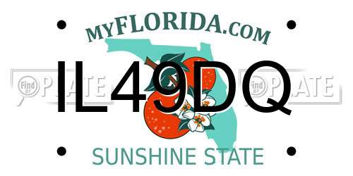 IL49DQ Florida License Plate