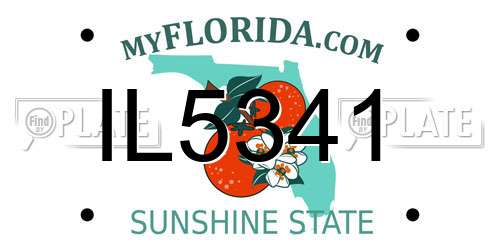 IL5341 Florida License Plate