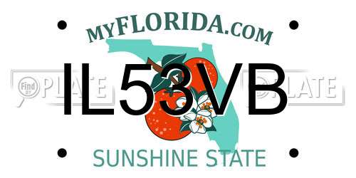 IL53VB Florida License Plate