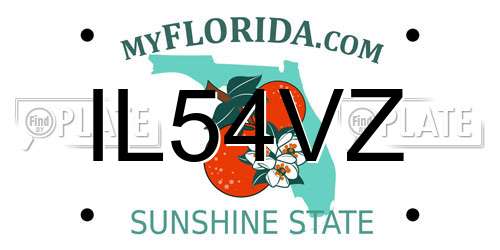 IL54VZ Florida License Plate