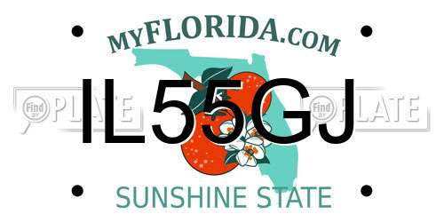 IL55GJ Florida License Plate