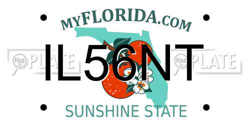 IL56NT Florida License Plate