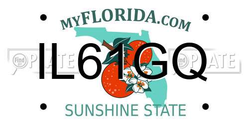 IL61GQ Florida License Plate