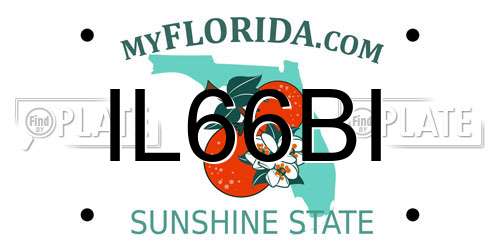 IL66BI Florida License Plate