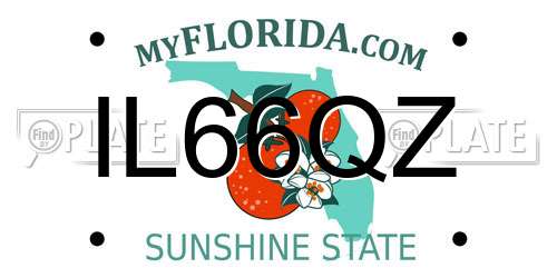 IL66QZ Florida License Plate