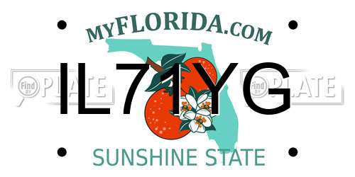 IL71YG Florida License Plate