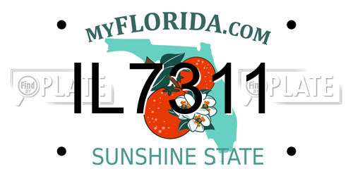 IL7311 Florida License Plate
