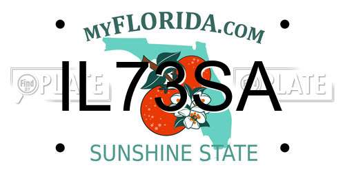 IL73SA Florida License Plate